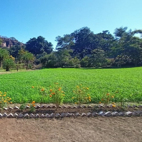 Radha Hill View Homestay Radha Hill View Homestay